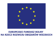 Logo EFR na ROW